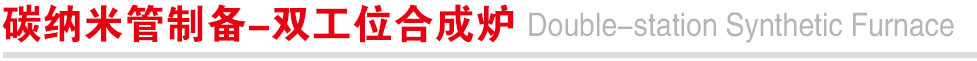 碳纳米管制备-双工位合成炉.jpg